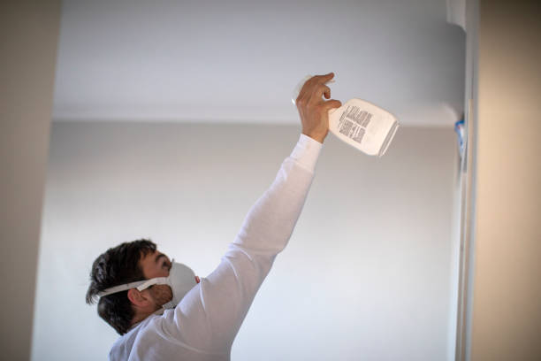 Best Mold Testing and Inspection Services in Niverville, NY